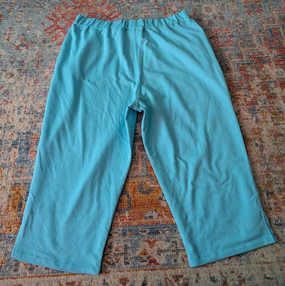 Quacker Factory Women's Medium Capri Turquoise Blue Soft Knit Pull On Shorts - Picture 4 of 10